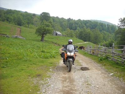 138. Okolí NP Biogradská Gora.jpg